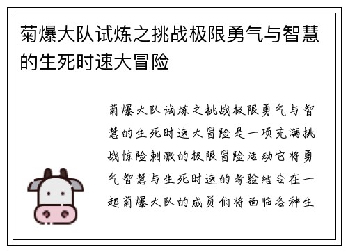 菊爆大队试炼之挑战极限勇气与智慧的生死时速大冒险